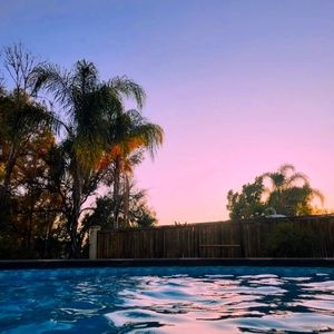 Meet your Posher, Lynn